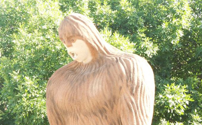 River of Gruel, Pile of Pigs: The Requisite Gestures of Narrow Approach