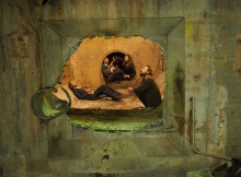 THERE and Back Again: Jo Stromgren’s Sub-Created Survivors