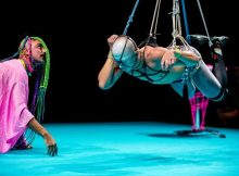 A Guide To Creating A Bunny