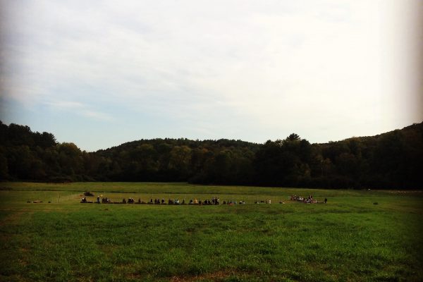 Death and Doggie Hamlet